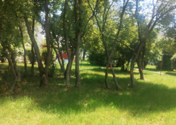 Stalowa Wola: Miejski Dzień Dziecka  w Paru Miejskim z otwarciem Wodnego Placu Zabaw