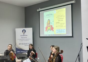 Stalowa Wola: Trzy firmy stanęły do przetargu na koncepcję modernizacji i rozbudowy lotniska w Turbi