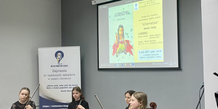 Stalowa Wola: Trzy firmy stanęły do przetargu na koncepcję modernizacji i rozbudowy lotniska w Turbi