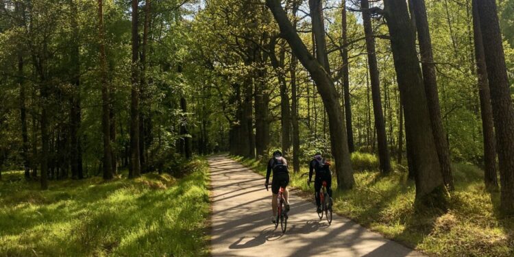 Mielec: Możesz wybrać trasę rowerową…
