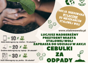 Stalowa Wola: Rusza wiosenna akcja rozdawania cebulek kwiatowych za elektograty