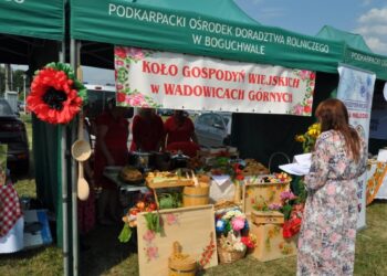 Chorzelów: Bitwa Regionów