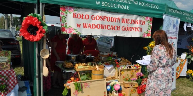 Chorzelów: Bitwa Regionów