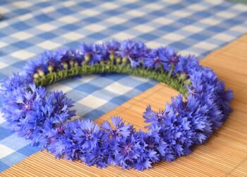 Tarnobrzeg: Powitanie lata – Sobótki w DPS.