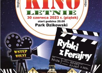 Tarnobrzeg. Projekcja w plenerze. Kino letnie.