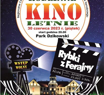 Tarnobrzeg. Projekcja w plenerze. Kino letnie.
