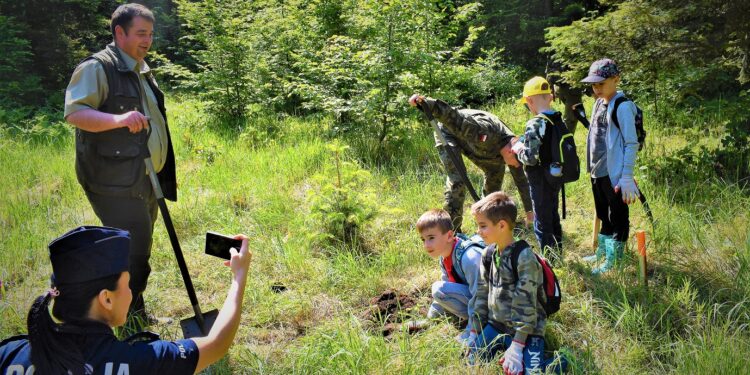 Stalowa Wola: Za drogie oferty budowy przedszkola nr 9 i przeprowadzka przedszkola nr 12