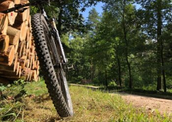 Mielec: 12 edycja Mieleckiego Leśnego MiniRajdu Rowerowego