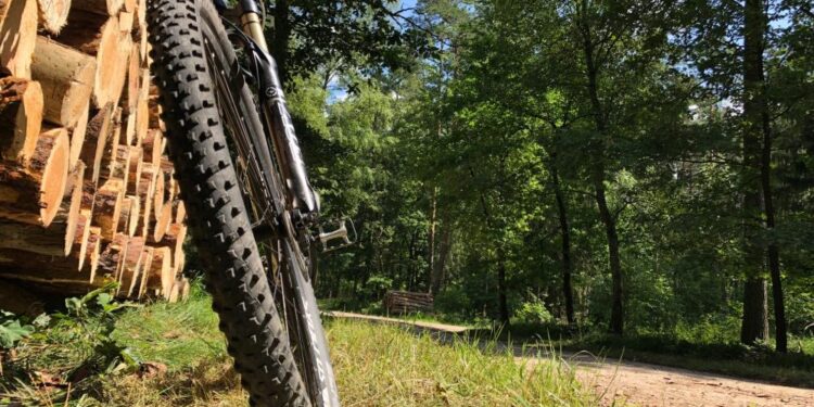 Mielec: 12 edycja Mieleckiego Leśnego MiniRajdu Rowerowego