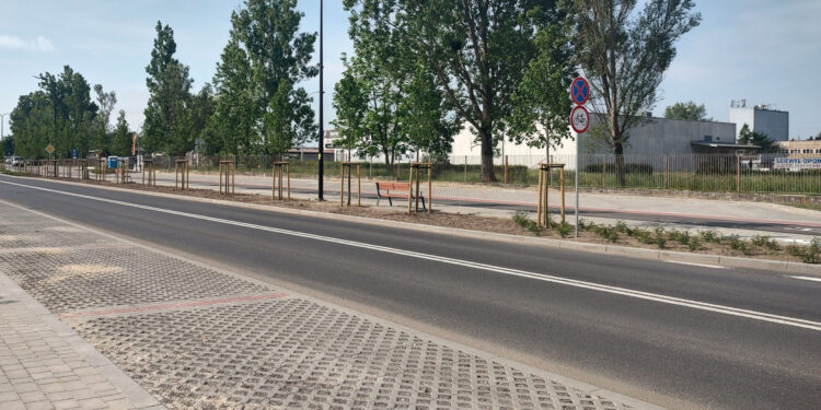 Stalowa Wola: Nowy system odwodnienia w ulicy Okulickiego zdał egzamin