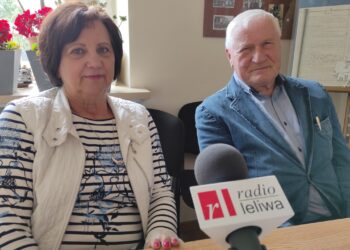 Mielec:  Jubileusz mieleckiej Sokolni