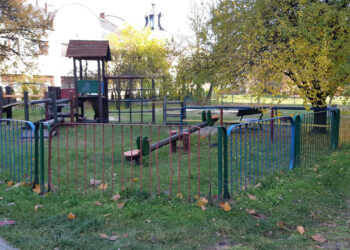 Stalowa Wola: Jednostki OSP z dofinansowaniem z WFOŚ