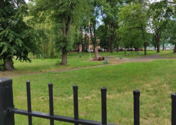 Mielec: Co z dawnym ogródkiem jordanowskim?