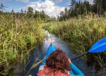 Koprzywnica: Spływ kajakowy już w niedzielę.