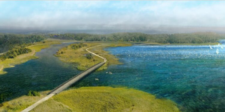 Nowa Dęba. Gmina pomoże