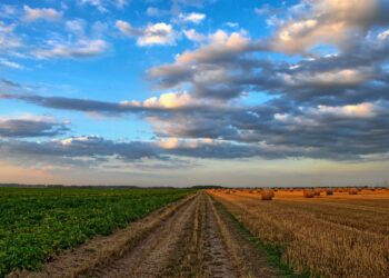 Zdjęcie ilustracyjne: pixabay