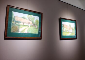 Stalowa Wola: W Stalowej Galerii wystawa prac artystów z Dziennego Domu Senior+