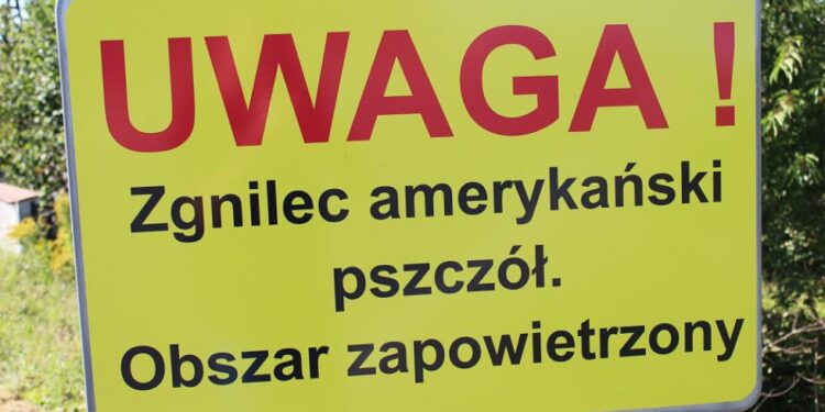 Mielec: Choroba pszczół