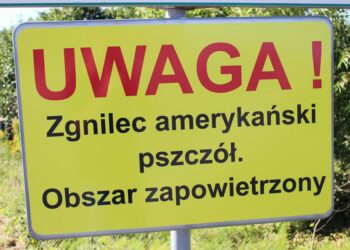 Mielec: Choroba pszczół