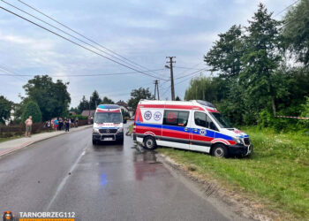 Tarnobrzeg. Sekcja zwłok i badania dadzą odpowiedź na pytanie, co było przyczyną zgonu dwunastolatka z Sobowa
