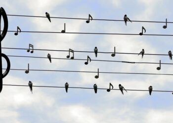 Tarnobrzeg. Wspólne śpiewanie piosenki „Bo Tarnobrzeg, to jednak Tarnobrzeg.”