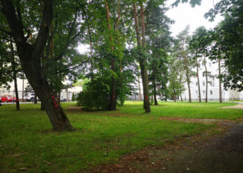 Stalowa Wola: Powstaje dokumentacja modernizacji MDK bez wieży widokowej