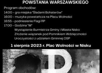 Nisko: Grą miejską i uroczystościami pod Pomnikiem Wdzięczności uczczą pamięć powstańców
