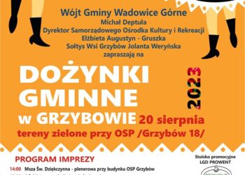 Powiat mielecki: Święto Plonów