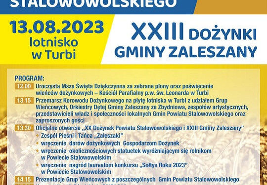 Stalowa Wola: Firma Strabag wybuduje trzeci most na Sanie