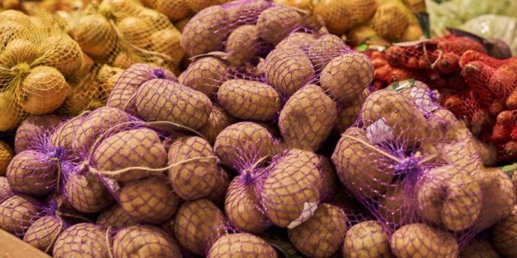 Mielec: Fundusz Wzajemnej Pomocy w Stabilizacji Dochodów Rolniczych