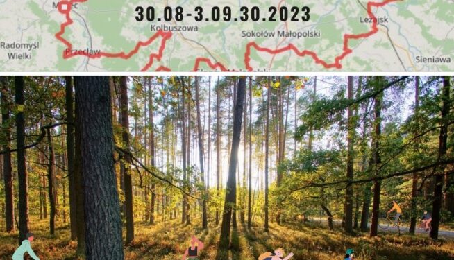 Mielec: Szlakiem Puszczy Sandomierskiej…