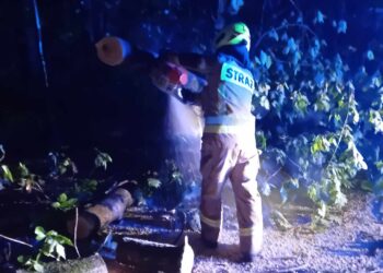 Stalowa Wola: Niemal do rana trwało usuwanie skutków nocnej nawałnicy