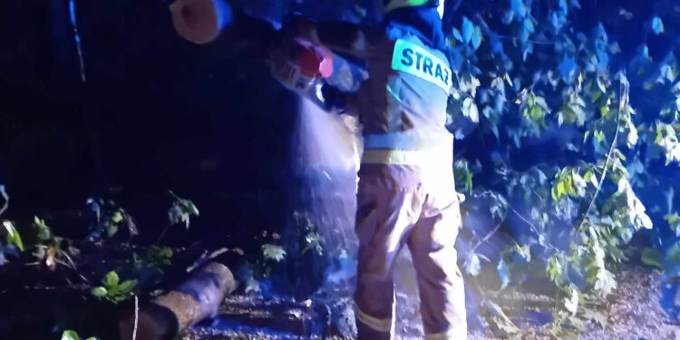 Stalowa Wola: Niemal do rana trwało usuwanie skutków nocnej nawałnicy