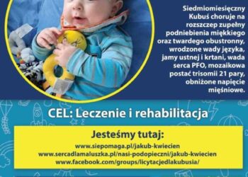 Sandomierz: Pomóż Kubusiowi.