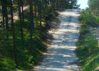 Stalowa Wola: Powstaje dokumentacja modernizacji MDK bez wieży widokowej