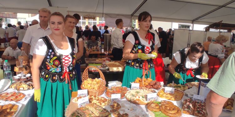 Padew Narodowa:    Ziemniak w każdej postaci…