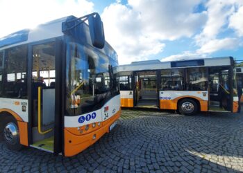 Sandomierz: W weekend darmowe przejazdy emkaesami.