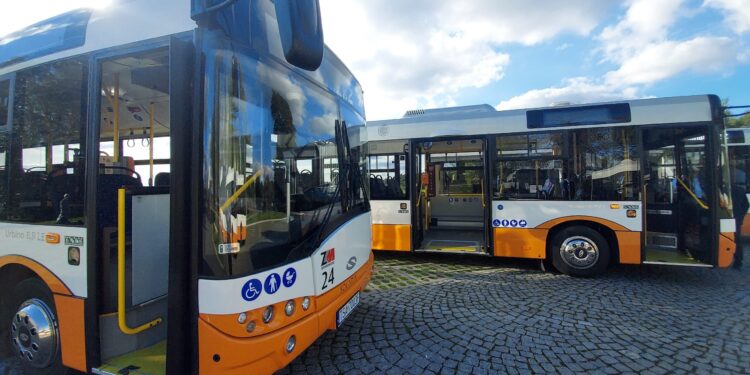 Sandomierz: W weekend darmowe przejazdy emkaesami.