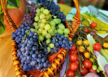 Samborzec: „KGW wspólnie dla sandomierskiej tradycji”.