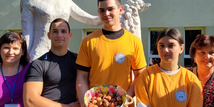 Sandomierz: Młodzież posadziła jubileuszowe tulipany.