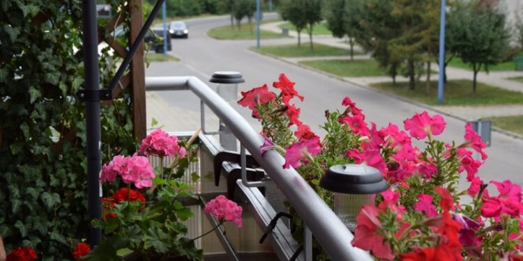 Dębica: Najpiękniejsze ogrody i balkony w Dębicy nagrodzone