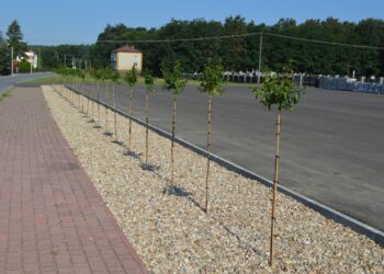 Wadowice Górne:  Nowy parking przy cmentarzu