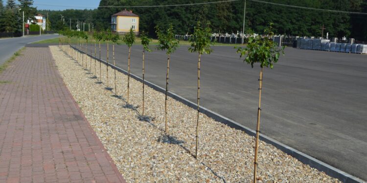 Wadowice Górne:  Nowy parking przy cmentarzu