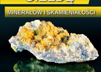 Tarnobrzeg. Giełda Minerałów i Skamieniałości