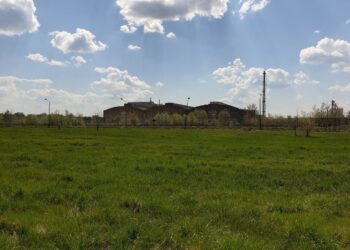 Tarnobrzeg. W niedzielę pierwsze w historii miasta referendum lokalne.