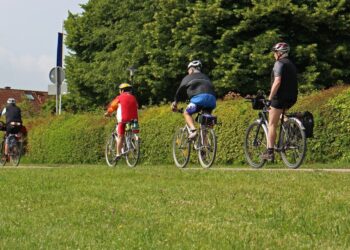 Tarnobrzeg. Pomysł na stworzenie turystycznej ścieżki rowerowej