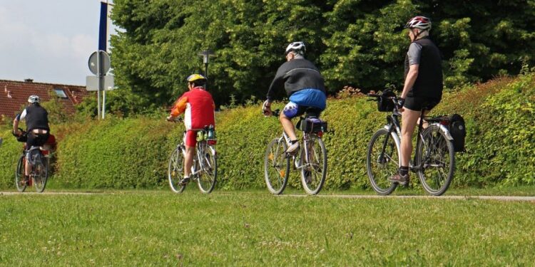 Tarnobrzeg. Pomysł na stworzenie turystycznej ścieżki rowerowej