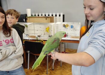 Mielec: Było pierzaście i kolorowo…