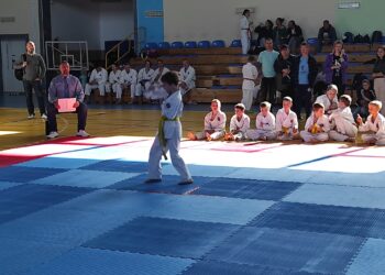 Mielec: Za nami kolejna  13.edycja turnieju SHORIN- RYU Karate
