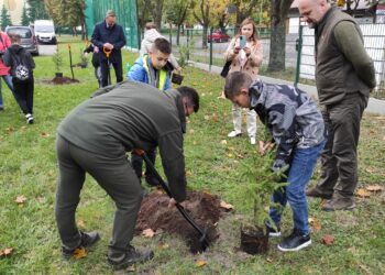 Mielec: Posadzili „elektryczny las”.